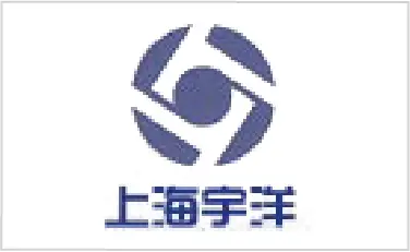 Technology Leader 35